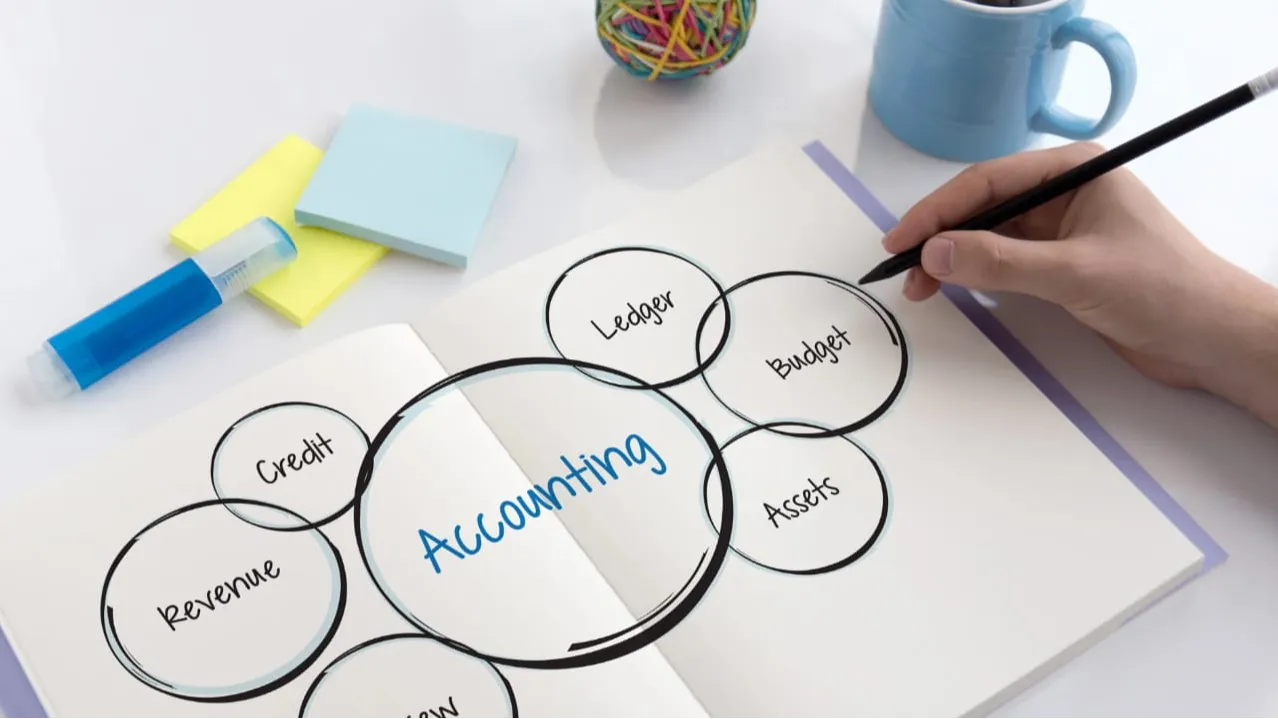 Top 5 Budget-Friendly Accounting Software for Startups & SMEs