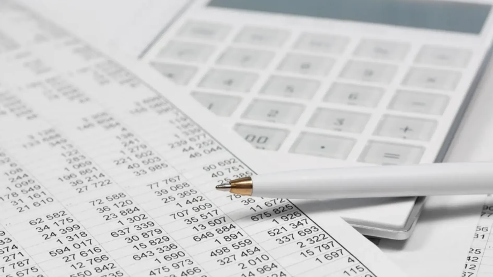 Custom ERP System Development: Tailored Solutions for Unique Business Needs