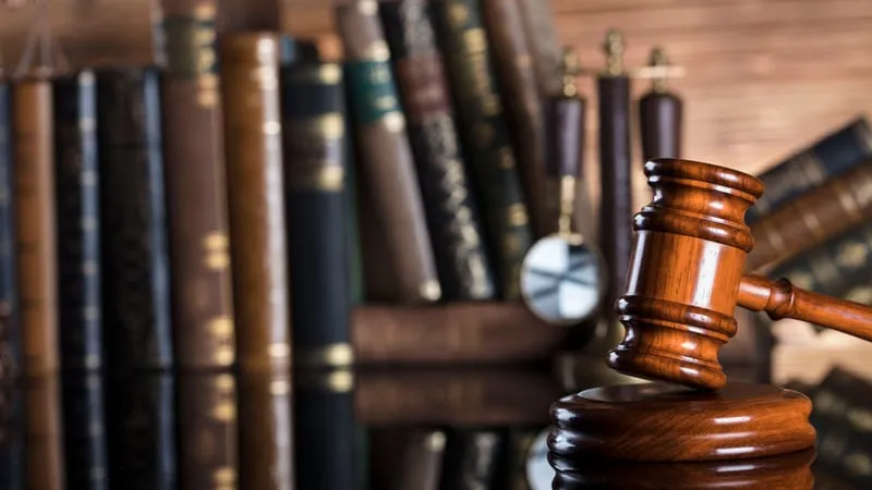 Legal Document Storage Solutions with Full Portal Customization for Your Firm’s Logo