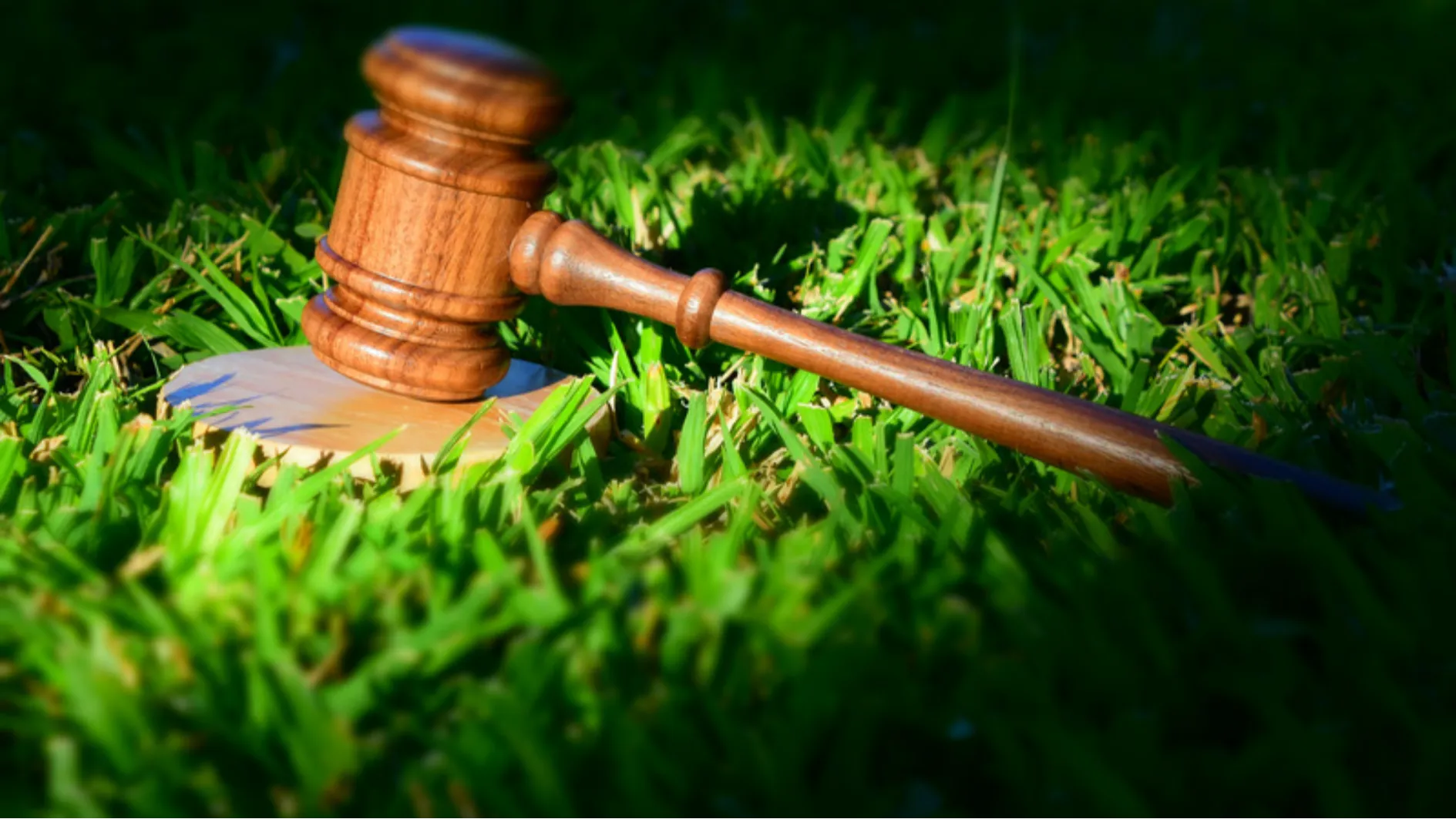Cloud Terenkripsi untuk File Hukum: Langkah Penting dalam Perlindungan Data untuk Firma Hukum